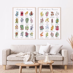 Set 2 Australische inheemse bloemenkaarten, botanische wandkleden, educatieve prints in de formaten A5, A4, A3 en A2