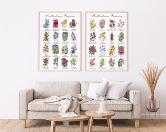 May include: Two framed prints of Australian flowers with watercolor illustrations and their names. The prints are hung on a white wall above a light brown couch.