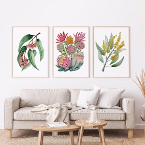 Set of 3 Australian Florals in Full Bloom Sizes A5 A4 A3 A2 Wall Art Decor Prints, Watercolour Wall Hangings
