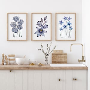 Ensemble de 3 fleurs bleues indigènes d'Australie, impressions botaniques, art floral australien pour décoration d'intérieur au format A5 A4 A3 A2 impressions