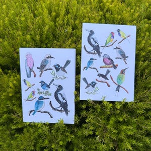 Collage of Australian Birds Cards Pack 4x6" With Envelope Greeting Cards Gift Birthday Anniversary Holidays Thank You Cards