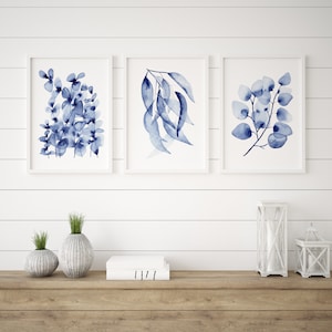 Hamptons Watercolour Set of 3, Baby Bue, Blue Gum, Silver Dollar, Eucalyptus Prints, Hamptons Artwork