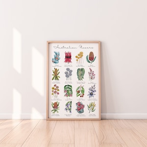 Australische inheemse bloemenkaart botanische display eerste set - prachtige bloemenprints in de formaten A5, A4, A3 en A2