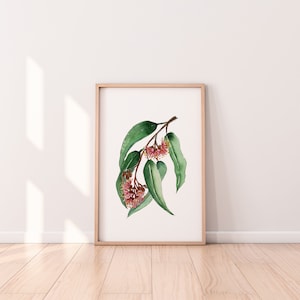 Eucalyptus Tree Australian Native Gum Leaf Print A4 A3 A2 Wall Art Decor from Original Watercolour and Pen Paintings