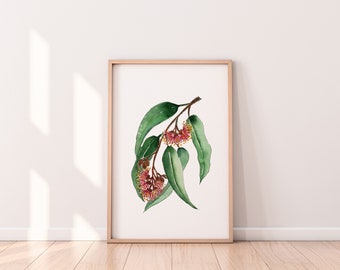 Eucalyptusboom Australische inheemse gomblad print A4 A3 A2 kunst aan de muur decor van originele aquarel- en penschilderijen