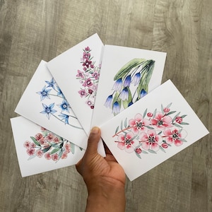 Floral cards Watercolour wild flower Pack of Australian native flower greeting card pack mixed note card pack flower card blank 4x6"