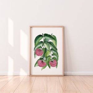 Australian Native Lilly Pilly Flower Art Prints Living Room Floral Wall Decor A5 A4 A3 A2