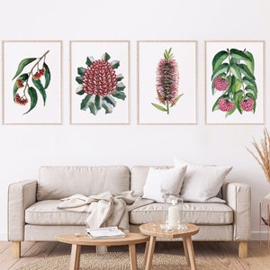 Red Wattle, Banksia Coccinea, Bottlebrush, Lilly Pilly Splendor Australian Floral Art Prints in 4 Set Elegant Decor for a Striking Accent