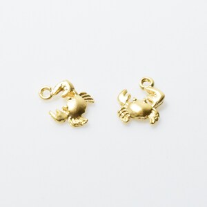 May include: Two gold-colored crab charms with a loop for attaching to a necklace or bracelet.