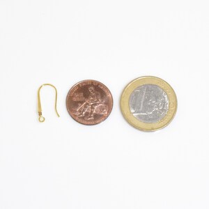 May include: Gold earring hook with a small loop at the end. The hook is shown next to a US quarter and a Euro coin for size comparison.