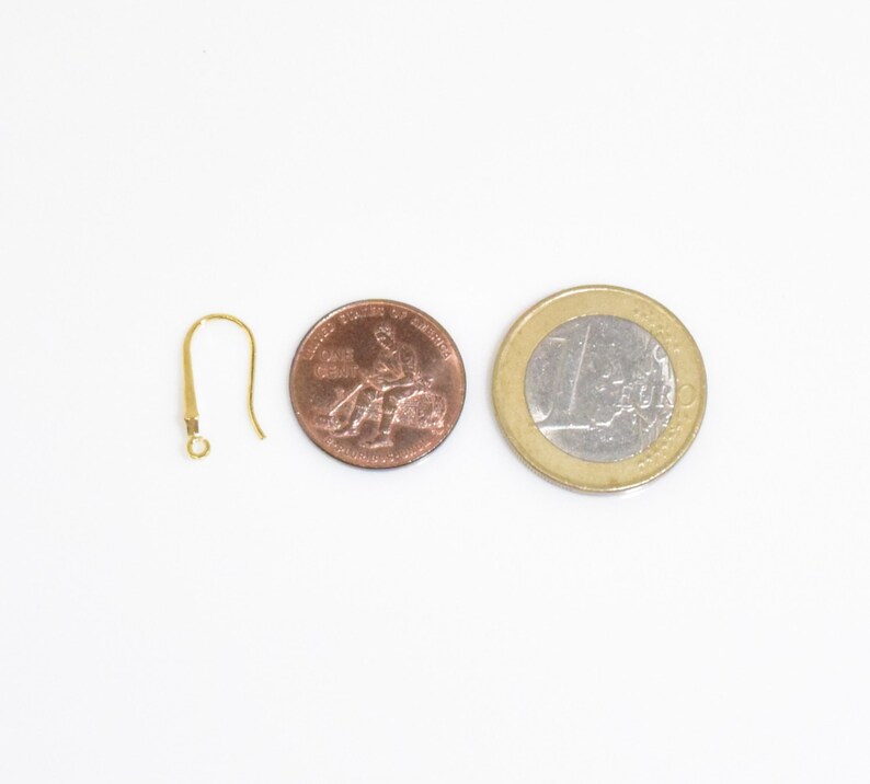 May include: Gold earring hook with a small loop at the end. The hook is shown next to a US quarter and a Euro coin for size comparison.