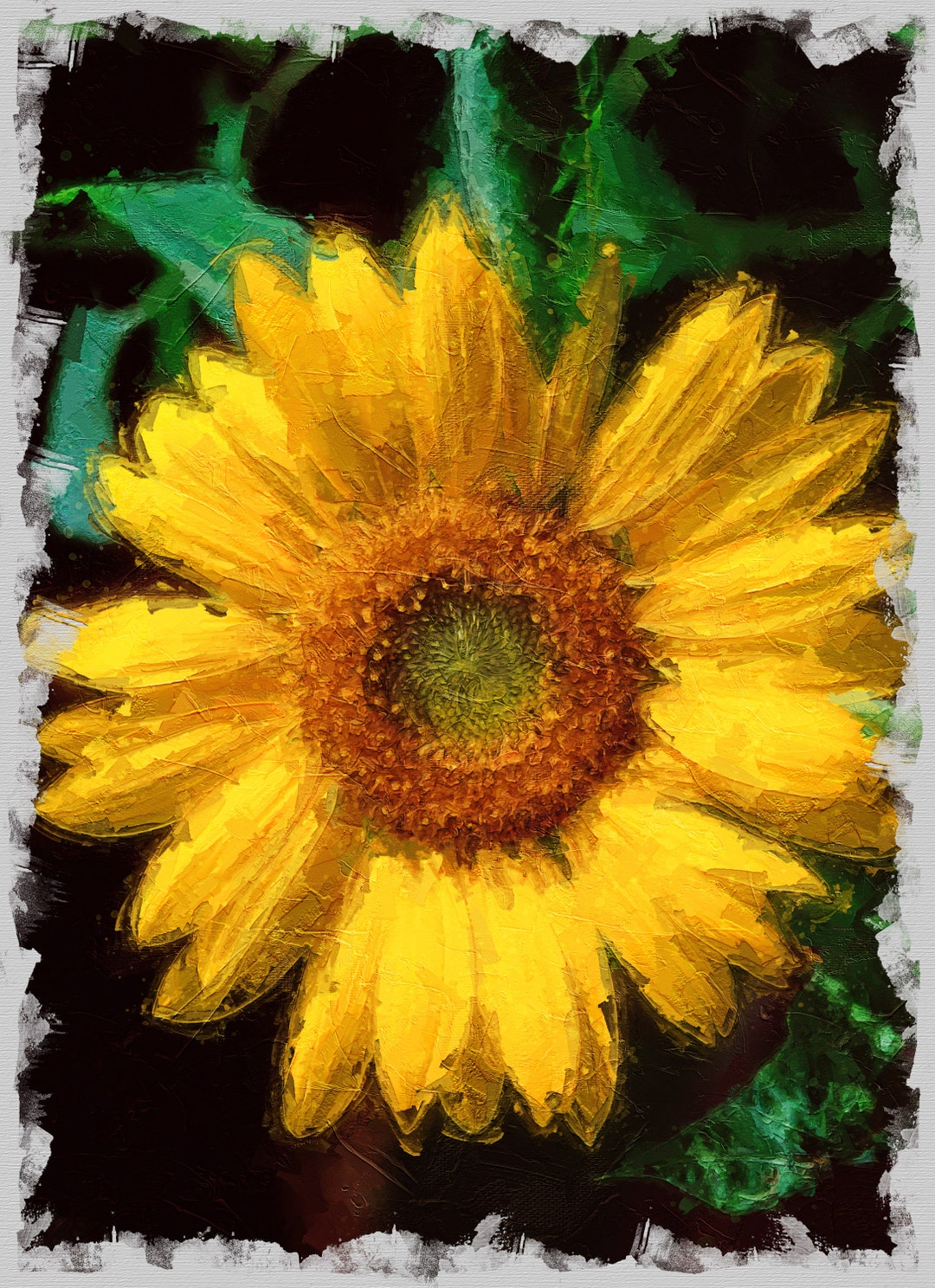 Sunflower Print • Original Art by Stevie Dan • Limited Edition Signed ...
