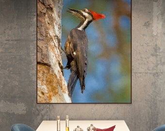 Pileated Woodpecker • Limited Edition Original Art by Stevie Dan  • Nature Art Decor • Bird Print