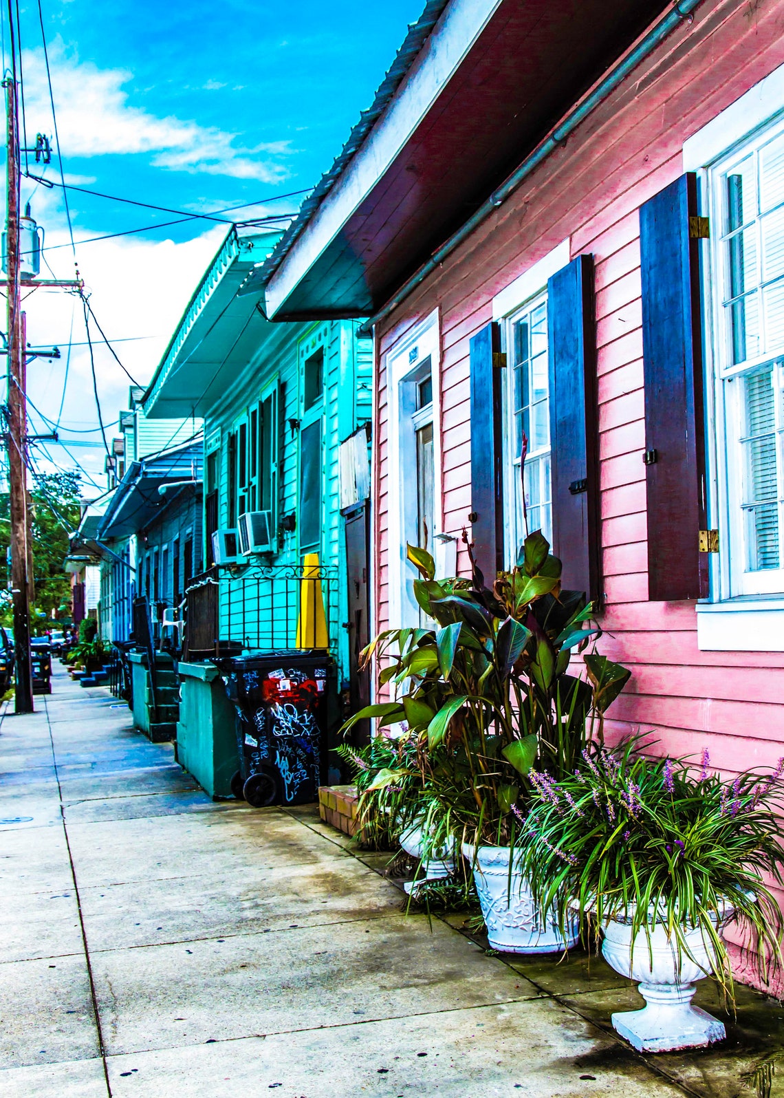 pink houses new orleans pink houses new orleans