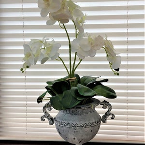 May include: White orchid flowers arranged in a grey ceramic urn with decorative handles. The urn has a distressed finish and sits on a dark wood surface.