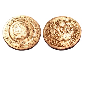 May include: Two gold-colored coins, one with a portrait of a person and the text "ONE POUND" and the other with a design of a lion and the text "ONE POUND".