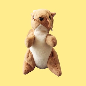 May include: A brown and white plush squirrel toy with a long tail. The squirrel has a brown nose and black eyes.