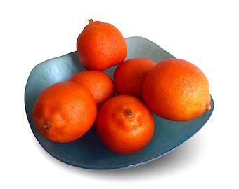 Spring Home Decor Faux Orange Pair Acrylic Vintage Fruit Cottagecore Housewarming Gift USA