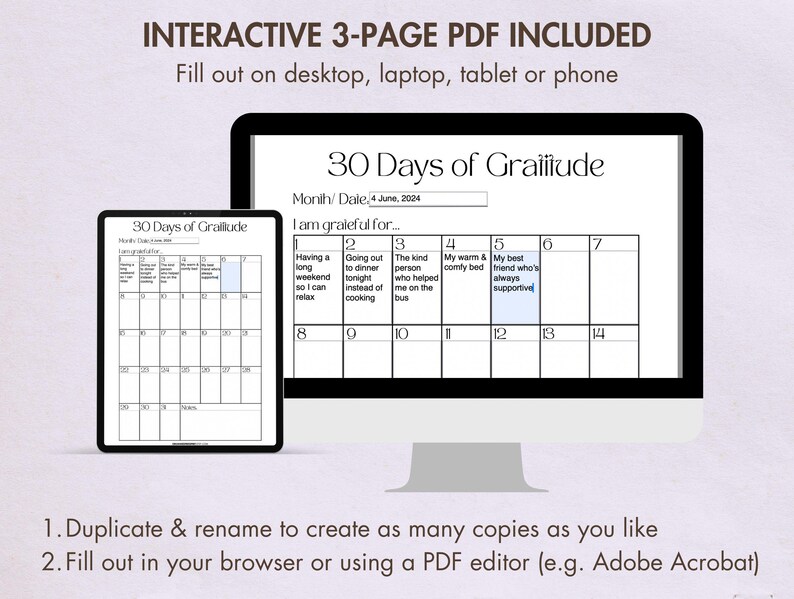 30 Days of Gratitude Journal Printable Digital PDF, Monthly Gratitude Calendar, Gratitude ...