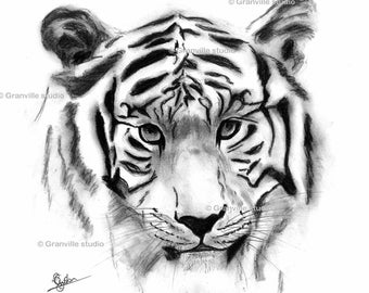 Tiger Picture - Tiger Print - Limited Edition - Tiger Wall Art