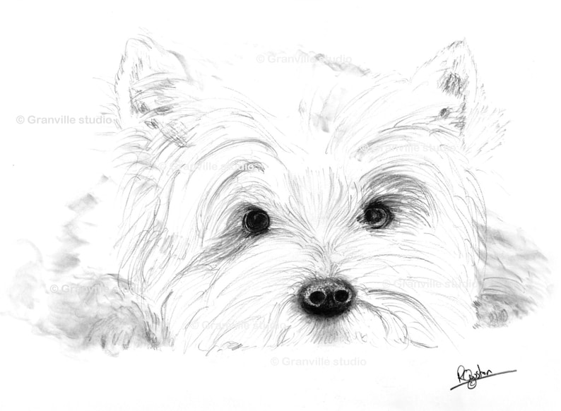 West Highland Terrier Dog Art Print  Westie Limited Edition image 1