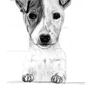 Jack Russell Dog Art - Jack Russell Print - Limited Edition Print