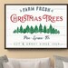 Farm Fresh CHRISTMAS TREES Sign framed Canvas or Paper Print Modern ...