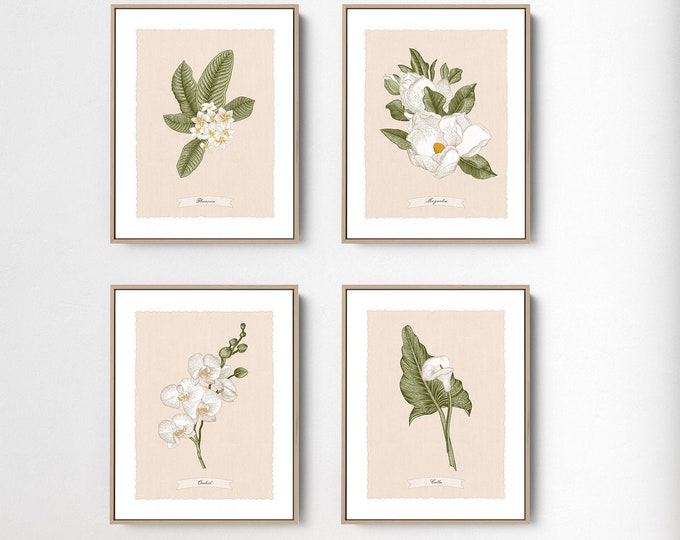 tropical wall art canvas • botanical print set of 4 white flowers (plumeria, magnolia, orchid, calla) • neutral boho art • beach house decor