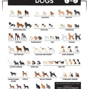 The image is a collage of various dog breeds and their corresponding illustrations, providing a visual guide to different dog breeds.