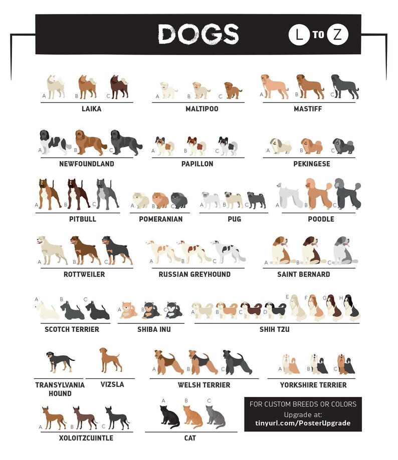 The image is a collage of various dog breeds and their corresponding illustrations, providing a visual guide to different dog breeds.