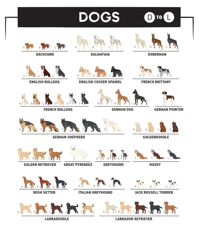 a poster with dogs in different colors and sizes