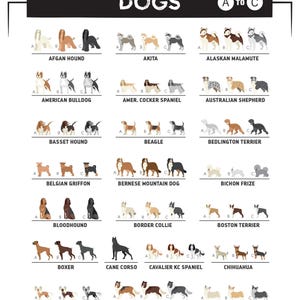 A dog-breed chart for the paddleboard print, letters A to C, showing breeds to personalize the pup