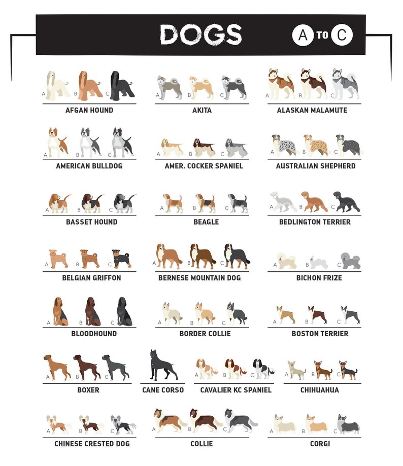 A dog-breed chart for the paddleboard print, letters A to C, showing breeds to personalize the pup