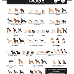 The image is a collage of various dog breeds and their corresponding illustrations, providing a visual guide to different dog breeds.