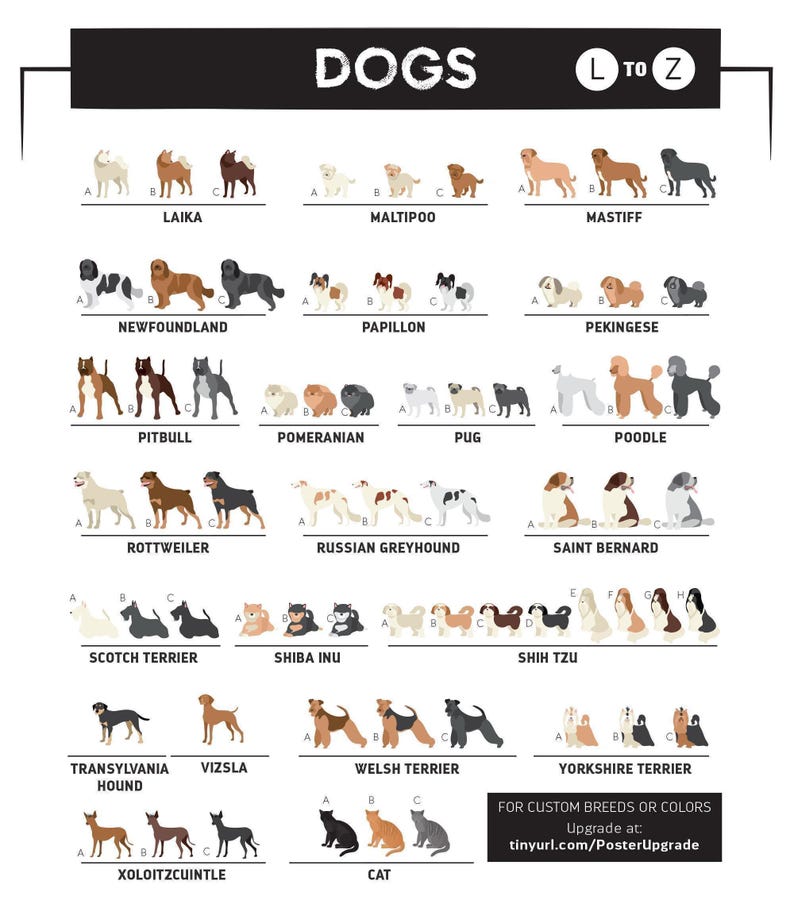 The image is a collage of various dog breeds and their corresponding illustrations, providing a visual guide to different dog breeds.