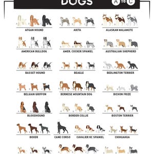 a dog chart with different breeds of dogs