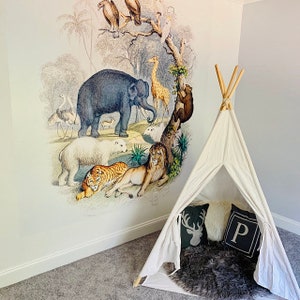 Animal Kingdom vintage Illustration Wall Mural, Papier peint vintage gravé, Papier peint Animaux, Papier peint Jungle, Décoration murale Nature