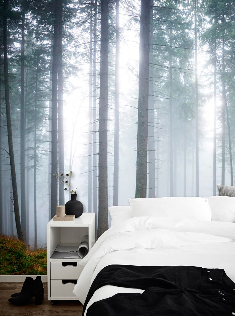 Hazy Forest Wall Mural Foggy Morning Misty Forest Nature Etsy