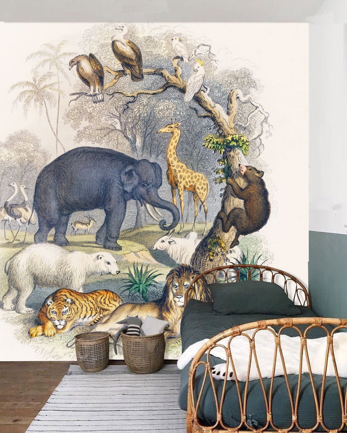 Animal Kingdom Vintage Illustration Wall Mural Engraved Etsy