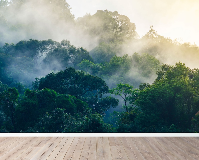May include: A wall mural featuring a dense, lush green forest canopy shrouded in thick morning mist and fog, with soft golden sunlight filtering through the treetops above, set against a light brown wooden floor with horizontal planks.