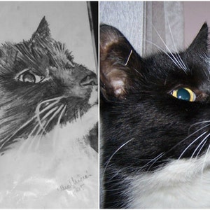 Custom pets portraits for every occasion.
