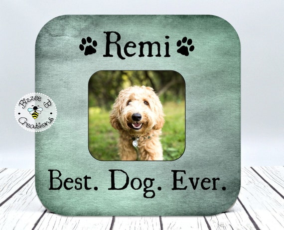 Dog Rescue Dog Lover Frame Dog Lover Gift Dog Picture Dog Photography Dog Photo Dog Photo Frame Dog Decor