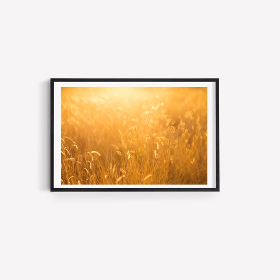 Field in the Morning Sun Landscape Sunrise Nature Etsy