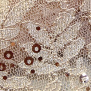 Peach Lace with sequin floral Print