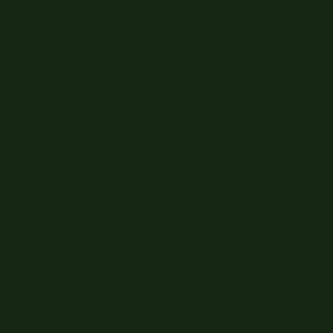 Broadcloth Baumwolle-Polyester Mischung Stoff Solids Reat für Maske - Hunter Green