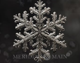 Original Artwork Silver Snowflake Festive Holiday Christmas Artwork Decor for Home Printable