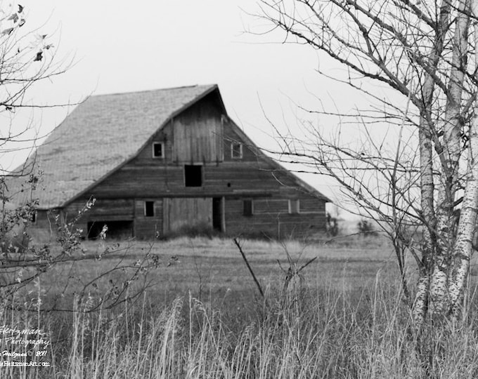 Barn Photo Barn Photography Black and White Photography Monochromatic Barnwood by Nicole Heitzman