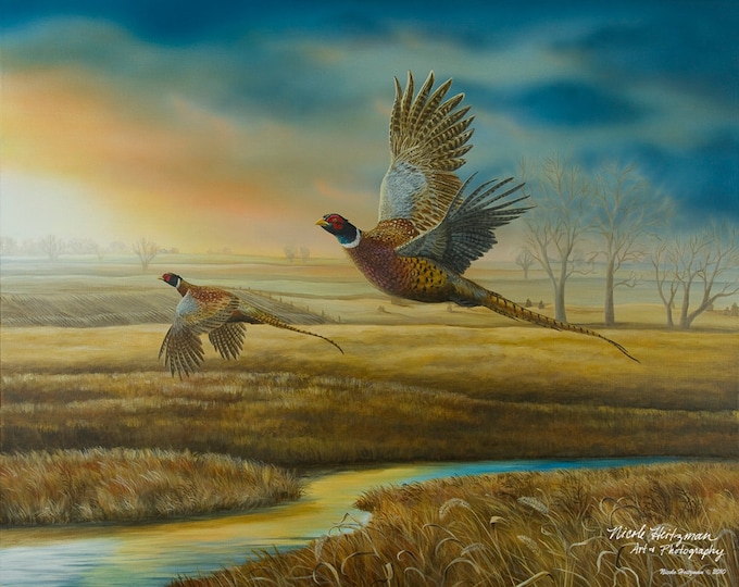 Pheasant Hunting Father's Day Gift Pheasant Painting Pheasant Creek Gift for Dad Ring-necked Pheasant Art Wildlife Print by Nicole Heitzman