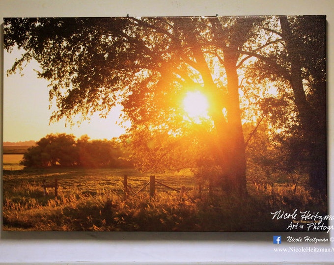 Fenceline Fall Sunset South Dakota Sunset Photography Tree Sunset Photo Tree Silhouette Photo Canvas Print 24x36 Gallery Wrap Canvas Print