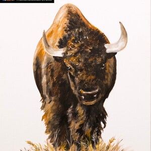 Buffalo portrait Painting Father&#39;s Day gift for dad men him Buffalo Print Bison Art Decor South Dakota Art Canvas print by Nicole Heitzman